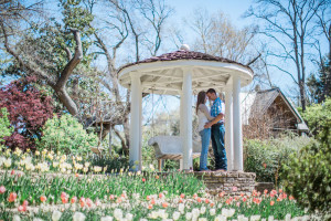 Bartlett Arboretum Couples Photography