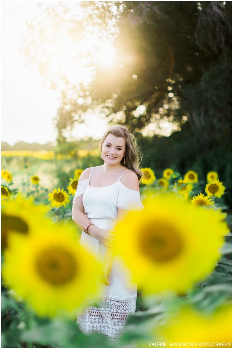 September Sunflowers Wichita, KS Photographer Valerie Shannon